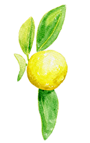 Citrus Aurantium Bergamia (Wild Bergamot extract)