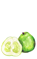 Citrus Grandis (Grapefruit oil)